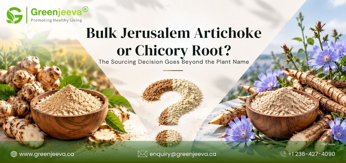 Jerusalem Artichoke Powder vs Chicory Root Powder: Understanding Ingredient Formats for Better Sourcing Decisions